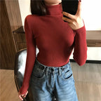 Women’s Autumn Winter Turtleneck Sweater 2025 – Thick Ribbed Knit Slim Fit Pullover Jumper | NovaLume Elegant Women's Fashion