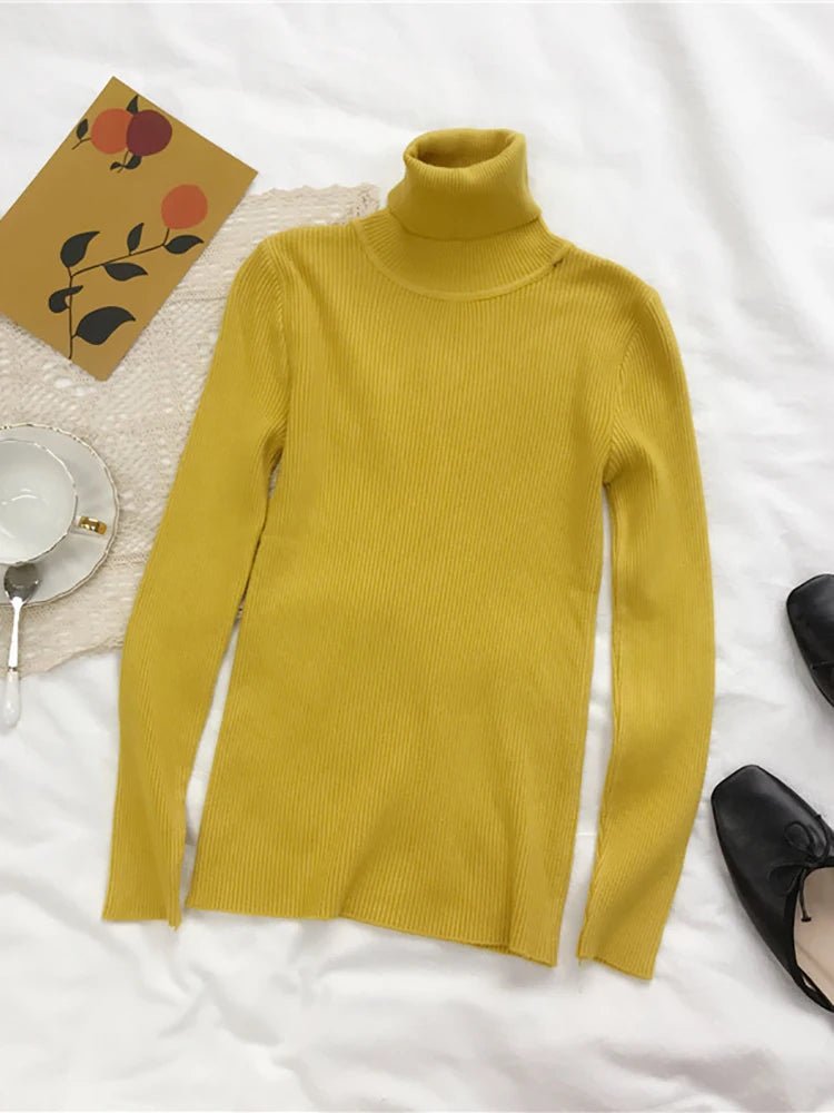 Women’s Autumn Winter Turtleneck Sweater 2025 – Thick Ribbed Knit Slim Fit Pullover Jumper | NovaLume Elegant Women's Fashion