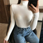 Women’s Autumn Winter Turtleneck Sweater 2025 – Thick Ribbed Knit Slim Fit Pullover Jumper | NovaLume Elegant Women's Fashion