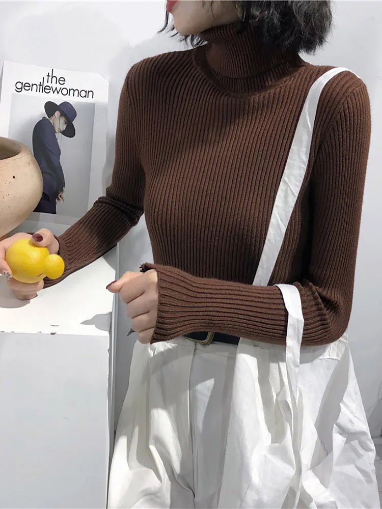 Women’s Autumn Winter Turtleneck Sweater 2025 – Thick Ribbed Knit Slim Fit Pullover Jumper | NovaLume Elegant Women's Fashion