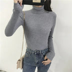 Women’s Autumn Winter Turtleneck Sweater 2025 – Thick Ribbed Knit Slim Fit Pullover Jumper | NovaLume Elegant Women's Fashion